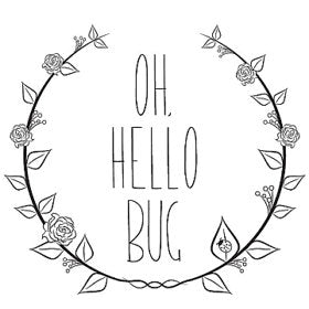 123 Oh Hello Bug