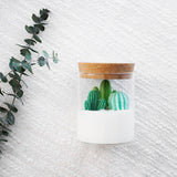 Green Cactus Candle | Soy Blend Candle