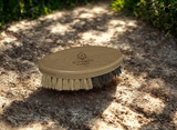 000 ($15) Eco Haven - Multipurpose Kitchen Cleaning Brush