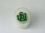 000 ($40) Zoetstudio - Succulent Soy Candle