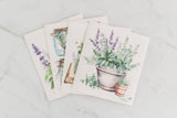 4 Pk Sponge Cloths - Herbal