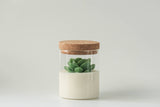000 ($40) Zoetstudio - Succulent Soy Candle