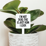044 ($12.50) I'm Not Dead This Is Just How I Look Plant Marker