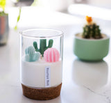 Cactus Candle | Soy Blend Candle: Coconut + Lime