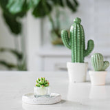 000 ($18) Zoetstudio - Succulent Tealight Candles