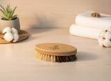 000 ($15) Eco Haven - Multipurpose Kitchen Cleaning Brush