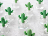 000 ($18) Zoetstudio - Cactus & Succulent Tealight Candles