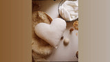 000 ($50) The Butter Flying - Heart Plush Baby Pillow