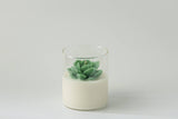 000 ($40) Zoetstudio - Succulent Soy Candle