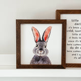 044 ($40) Watercolour Bunny Sign | Framed Easter Sign