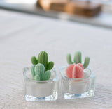 000 ($18) Zoetstudio - Cactus & Succulent Tealight Candles