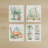 4 Pk Sponge Cloths - Herbal