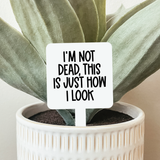 044 ($12.50) I'm Not Dead This Is Just How I Look Plant Marker