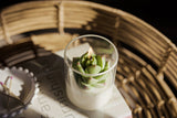 000 ($40) Zoetstudio - Succulent Soy Candle