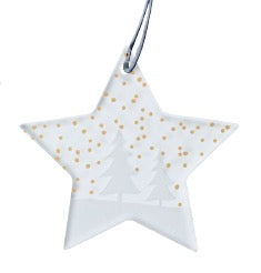 083 ($22) Star Ornament