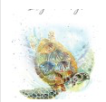 033 ($7) BellaFlor Cards - Animals