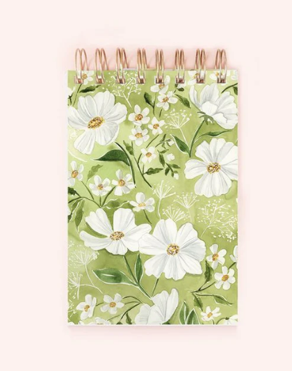 000 ($20) Almeida Illustrations - Notepads