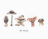 000 ($22) Maison Lorrain - Tea Towels - Various Prints