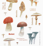 000 ($22) Maison Lorrain - Tea Towels - Various Prints