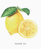 000 ($22) Maison Lorrain - Tea Towels - Various Prints