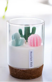 000 ($40) Zoetstudio - Cactus Candle - Mountain Walk