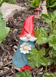 112 ($32-$36) Garden Gnomes - Various