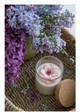 000 ($40) Zoetstudio - Anemone Soy Candle