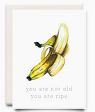 000 ($7) Inkwell Greeting Cards