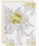 000 ($7) Inkwell Greeting Cards