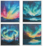 000 ($20) Sponge Cloths 4pk - Various Patterns