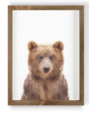 022 ($50) Framed Art - Animals Various