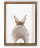 022 ($50) Framed Art - Animals Various