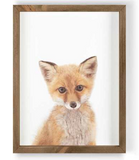 022 ($50) Framed Art - Animals Various