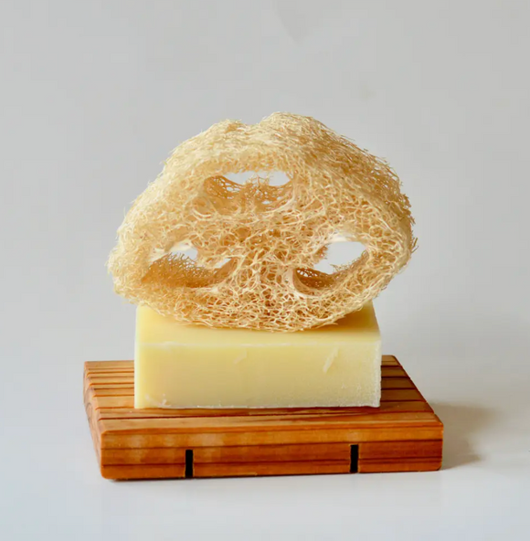 054 ($6) The Good Lane - Loofah Sponge Set