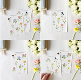 067 ($12) Emily Lex - Sticker Sheets