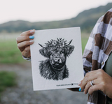 056 ($8) Sponge Cloths - Various