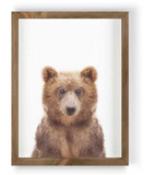 022 ($50) Framed Art - Animals Various