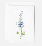 067 ($6.50) Emily Lex - Mini Notecards