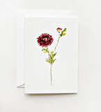 067 ($6.50) Emily Lex - Mini Notecards