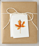 067 ($6.50) Emily Lex - Mini Notecards