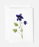 067 ($6.50) Emily Lex - Mini Notecards