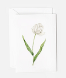 067 ($6.50) Emily Lex - Mini Notecards