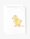 067 ($6.50) Emily Lex - Mini Notecards