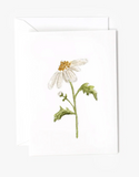 067 ($6.50) Emily Lex - Mini Notecards