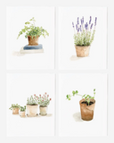 067 ($25) Emily Lex - Notecard Sets