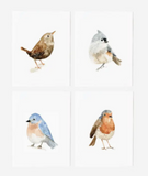 067 ($25) Emily Lex - Notecard Sets