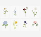 067 ($25) Emily Lex - Notecard Sets