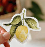 067 ($6) Emily Lex - Stickers