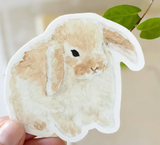 067 ($6) Emily Lex - Stickers