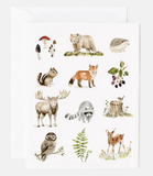 067 ($25) Emily Lex - Notecard Sets